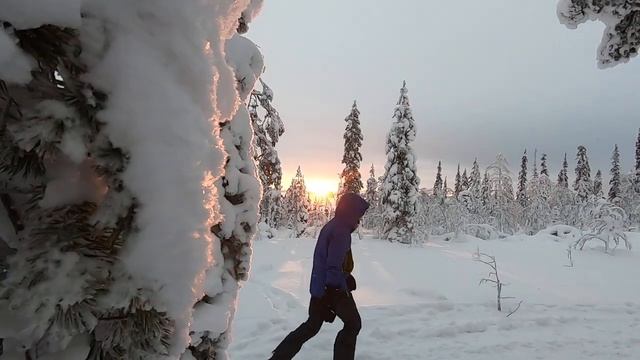 Сказочный лес Имандры смотреть онлайн