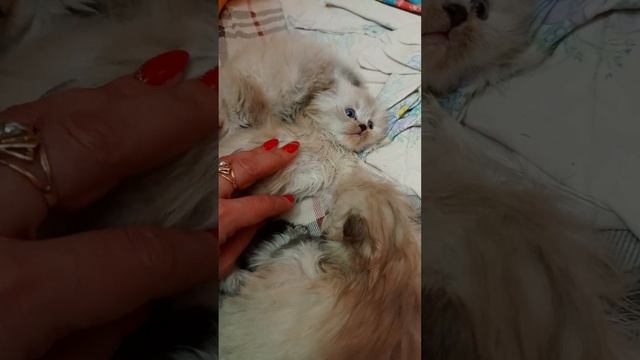 20 марта 2024 г. смотреть онлайн