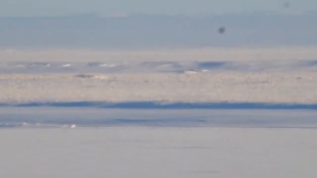 Gyrfalcon successfully attacking an owl.кречет атакує сову.F.rusticolus attacking Asio flammeus смотреть онлайн