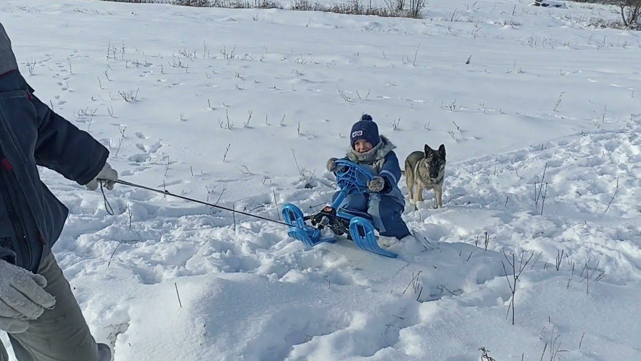 Первый снег
