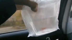 Купили аквариумных рыб