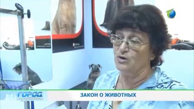Фрагмент пр. "Город" 1 городской канал от 29.07.2013 смотреть онлайн