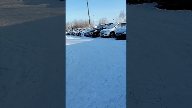 машины на продажу в ттс ждут своего хозяина смотреть онлайн