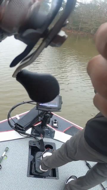 Toledo bend bass fishing. Testing live scope for the first time #shorts #bassfishing #lewsreels смотреть онлайн