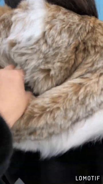 Шуба из меха импортной норки с рысью смотреть онлайн