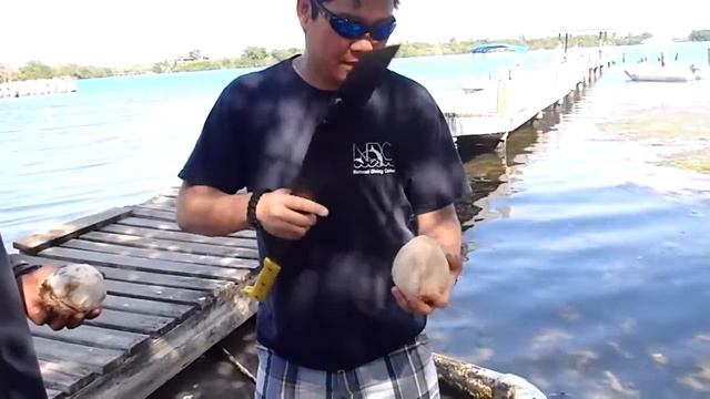 Opening a coconut with a machete Part 1 смотреть онлайн