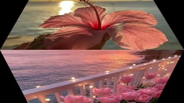 ЯРКОЕ ЛЕТО 🌺🌅МАРИЯ И ДАРЬЯ СИЗОВЫ N.i.k.a. L.i.n.a.r production