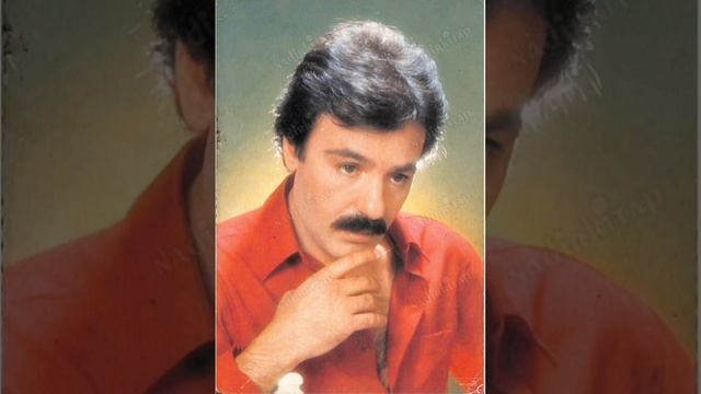 Ferdi Tayfur - Bana Sor смотреть онлайн