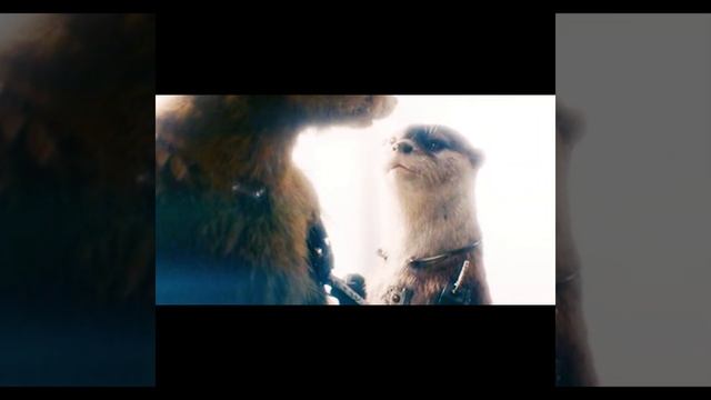 Ракета и Лайла 😭 | Стражи галактики 3 #shorts #movies #стражигалактики смотреть онлайн