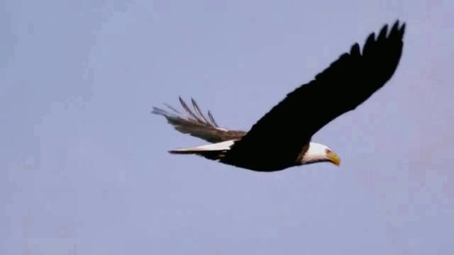 Одинокий пастух (Джеймс Ласт - Александр Баранов) смотреть онлайн