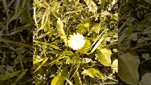 Клип/летняя тематика/июнь:-) смотреть онлайн