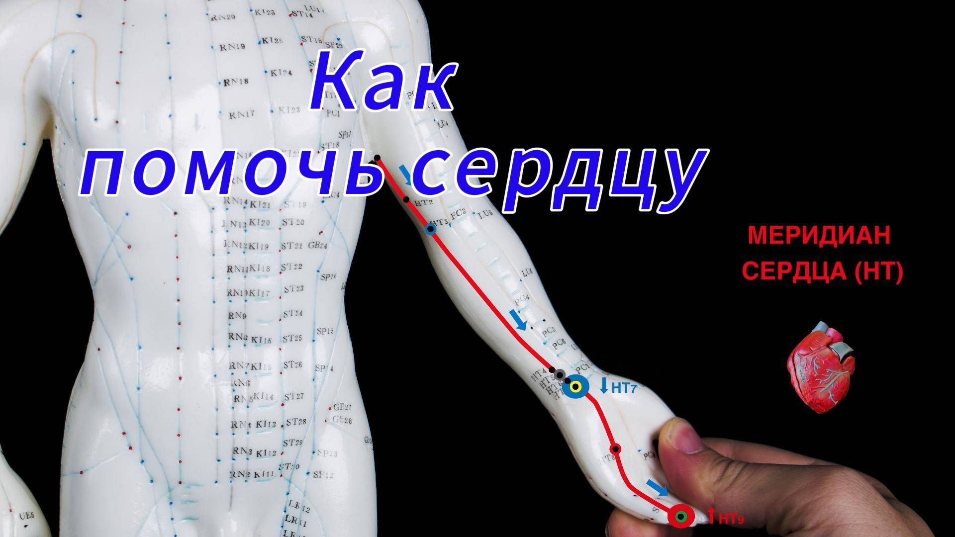 Как помочь сердцу