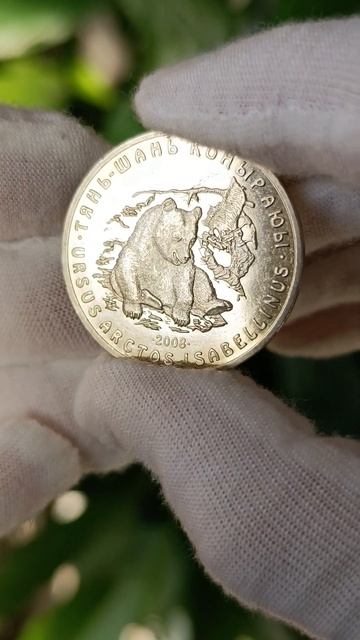 Тяньшанский бурый медведь 🐻#coin #монеты #тенге #collection #short смотреть онлайн