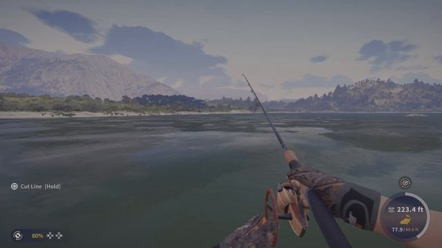 Common Carp Diamond Guide #theangler #callofthewild #gaming #fishing #cotw смотреть онлайн