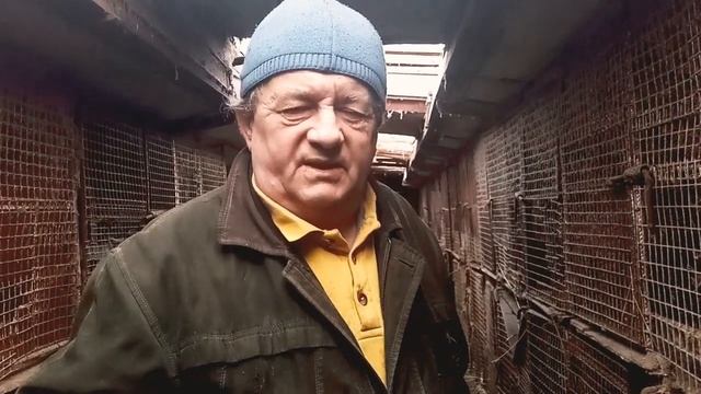 результаты окота при минусовых температурах смотреть онлайн