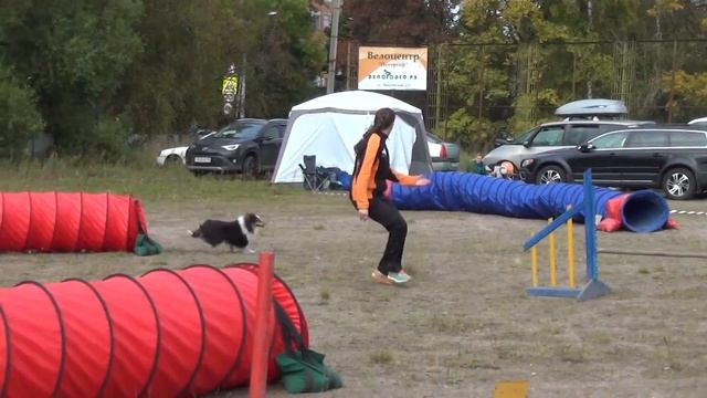 Д-2 Medium Чиж Елена и Рамзес смотреть онлайн