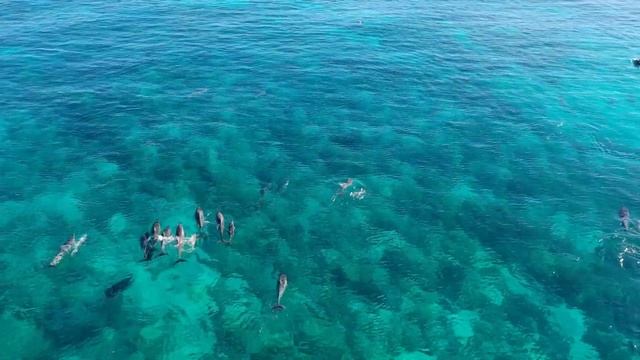 Big Island Mauna Lani & Four Season смотреть онлайн