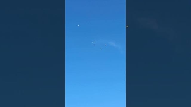 7 августа 2024 г. смотреть онлайн