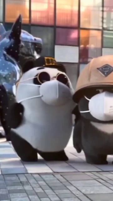 patli kamariya mori #viral #trending #shorts #utubeshorts #panda #cutepanda #viralsong смотреть онлайн