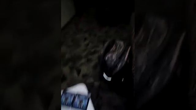 Игрушка из магдональса смотреть онлайн