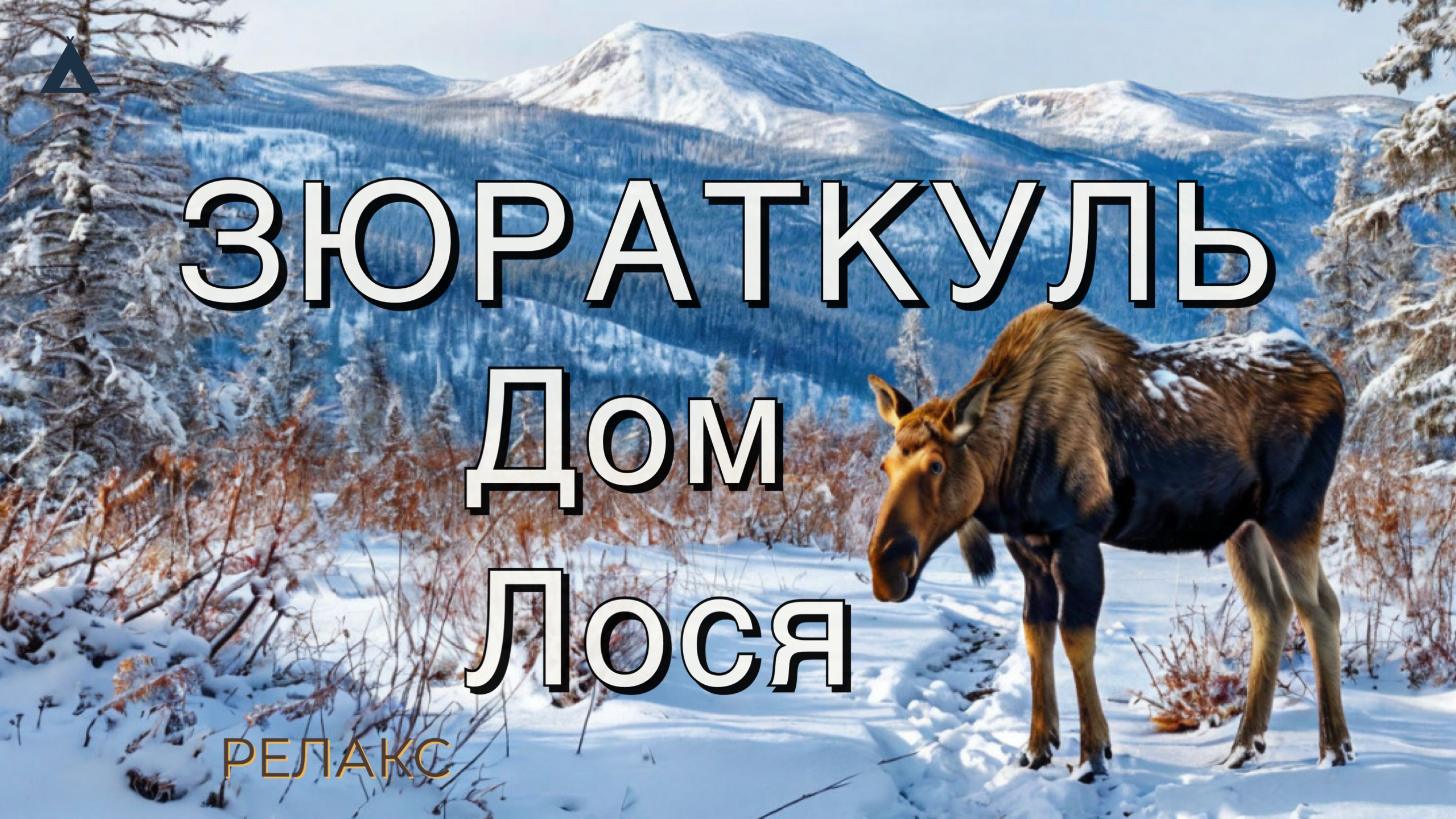 Зюраткуль. Уван, Дом Лося. Зимний Релакс