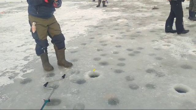 WhatsApp Video 2025-02-07 at 10.21.10 смотреть онлайн