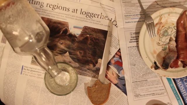 Julia Timoshenko and salted herring смотреть онлайн