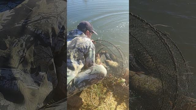 чердак рыбака