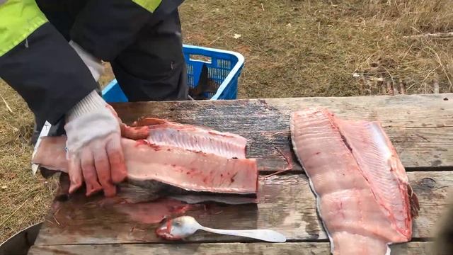 Разобрал за 18 секунд! смотреть онлайн