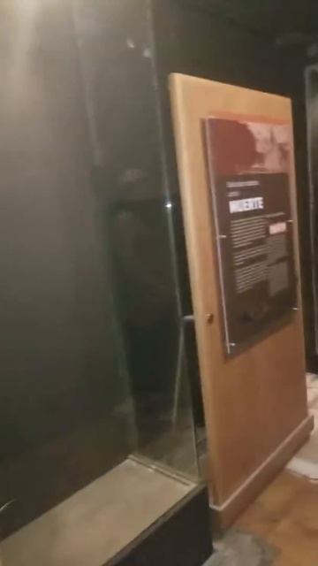 Las momias de Guanajuato смотреть онлайн