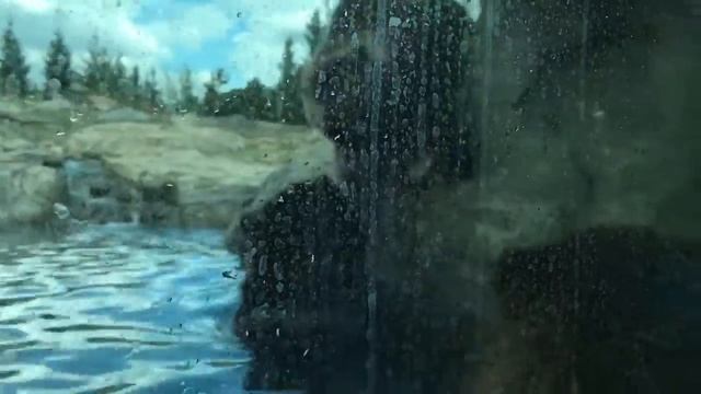 Три медведя-гризли смотреть онлайн