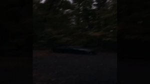 :) накидайте лайков плиз