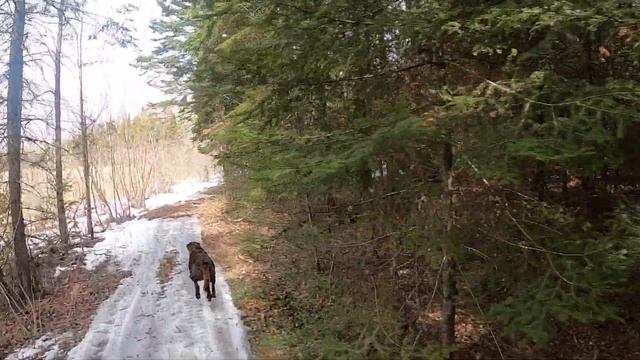 Ripping Icy trails on a Grizzly 660 смотреть онлайн