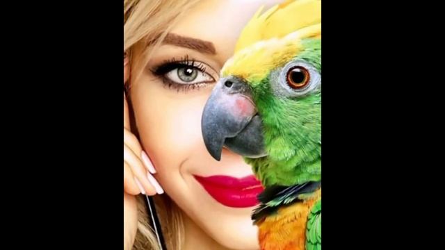 Канал который умер быстрее пчелы! 💀 смотреть онлайн