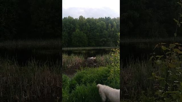 Sunshine mrija смотреть онлайн