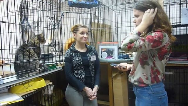 "Неслучайная встреча" и первая счастливица выставки смотреть онлайн