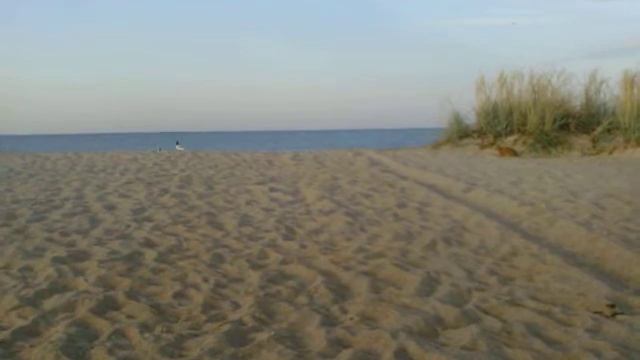 Голубиная охота смотреть онлайн