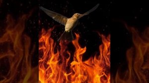 6 Иброхим алайхиссалом