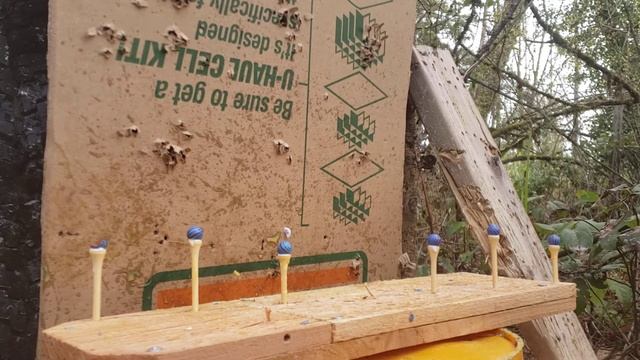 TAIPAN VETERAN COMPACT VS PAINTBALLS AT 60 yrds. смотреть онлайн