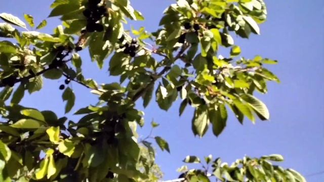Mishelle на свободе смотреть онлайн