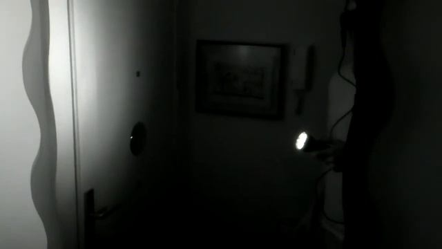 Night Vision on a portable Raspberry Pi 3B+ with NoIR Camera (Improved) смотреть онлайн