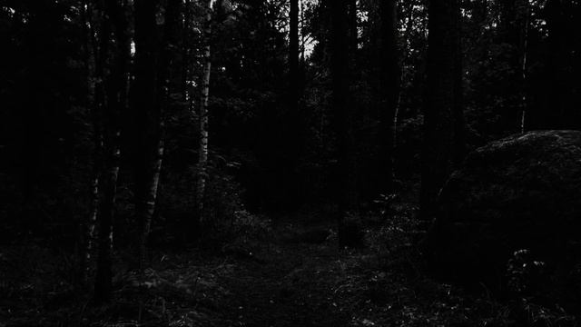 Страшные истории - ЧЁРНЫЙ ВОРОН | Ужасы | Страшилки на ночь. смотреть онлайн