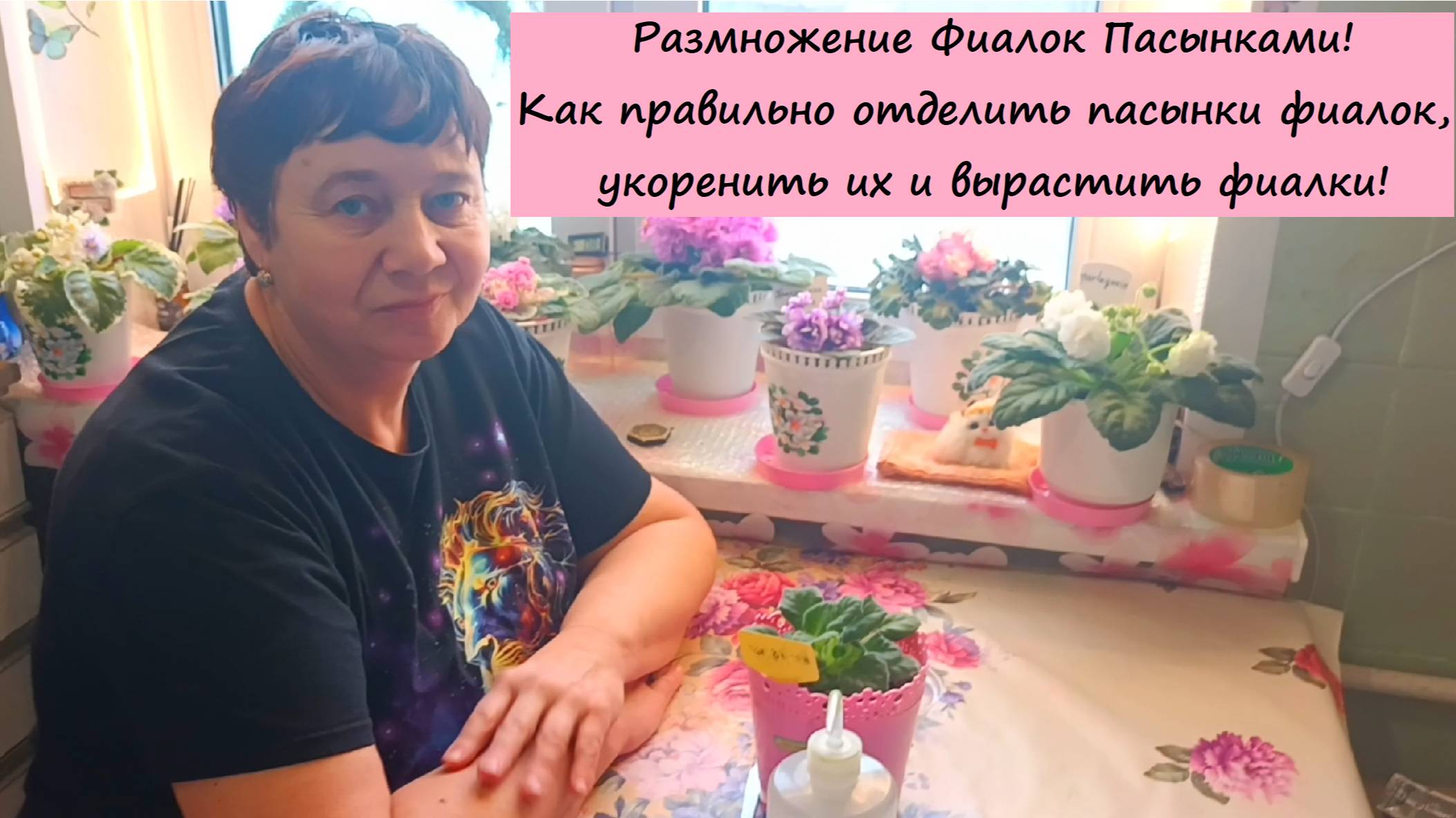 Размножение Фиалок Пасынками! Как правильно отделить пасынки фиалок, укоренить их и вырастить фиалку смотреть онлайн