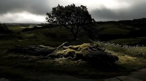 Dark Ambient Music - ALONE