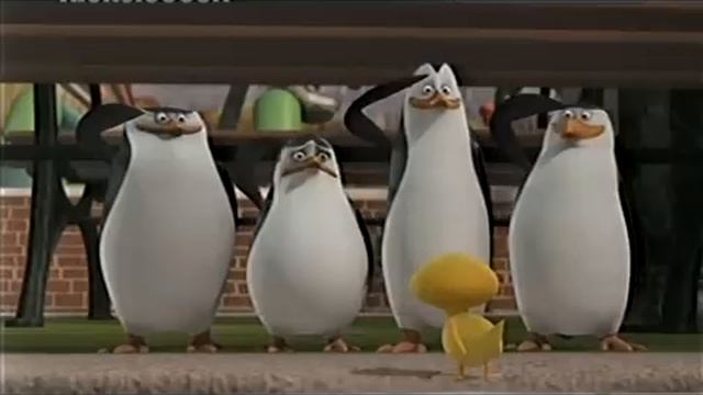 Реклама Nickelodeon 2012 январь