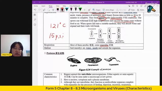 8.3 MICROORGANISMS AND VIRUSES (CHARACTERISTICS) смотреть онлайн