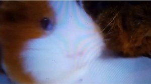 бузя и Кузя vs фнф