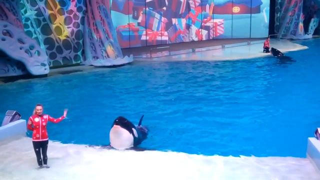 Затеряный мир - шоу в Москвариуме (видео 20) смотреть онлайн