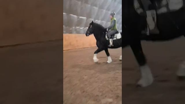 Дизель и испанские замашки смотреть онлайн