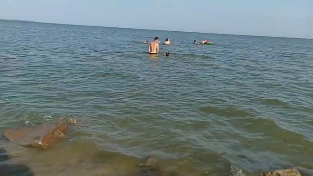 Прогулка на пляже в начале августа. Видео с моего запасного канала Чистый Чистик. смотреть онлайн